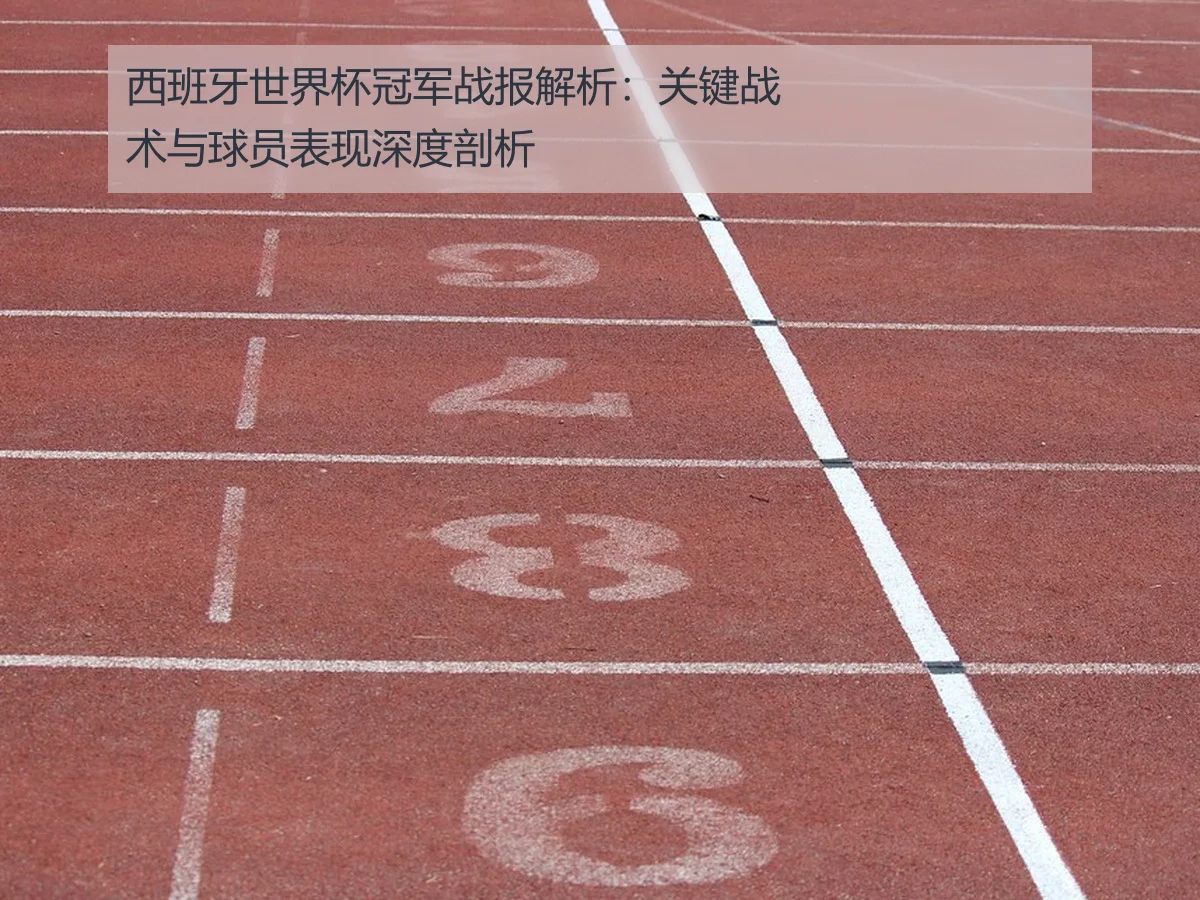 西班牙世界杯冠军战报解析：关键战术与球员表现深度剖析
