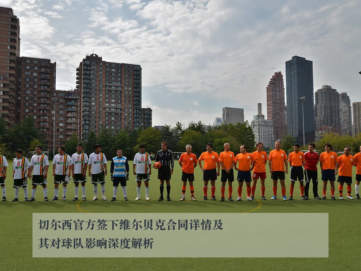 切尔西官方签下维尔贝克合同详情及其对球队影响深度解析